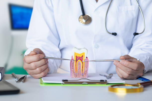 Best Dentist for Tooth Abscess  in Huntsville, AL